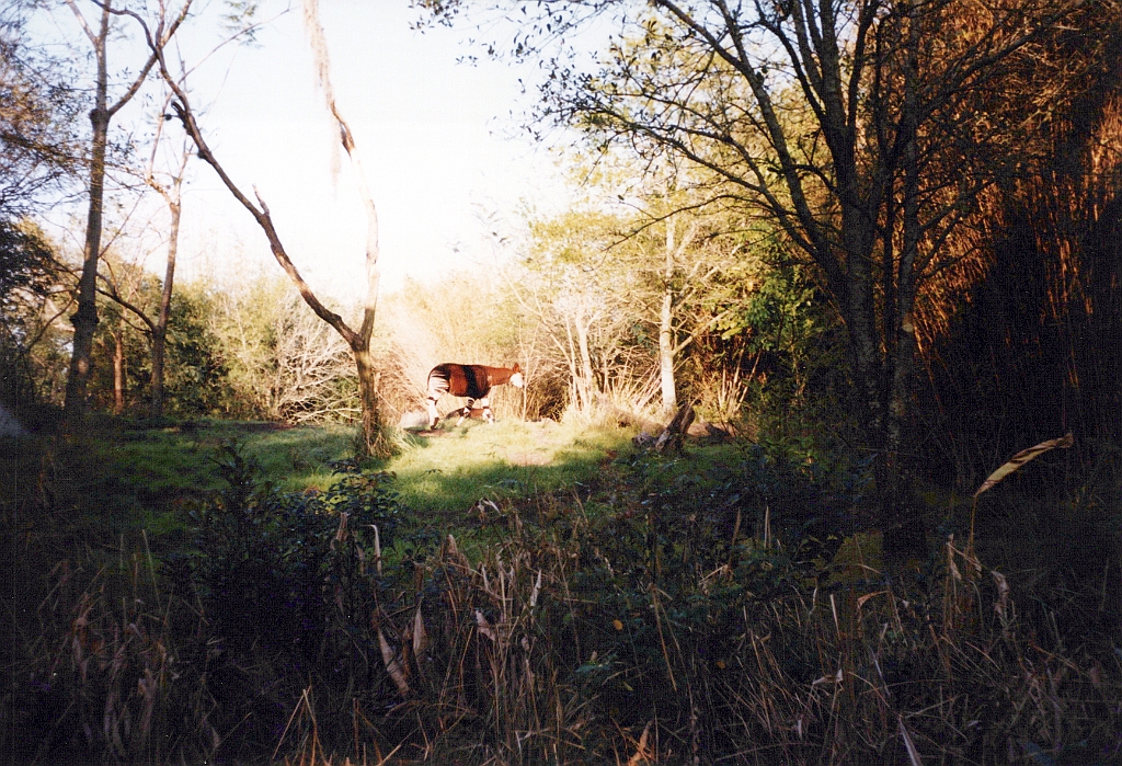 1999 - Floride 12.jpg